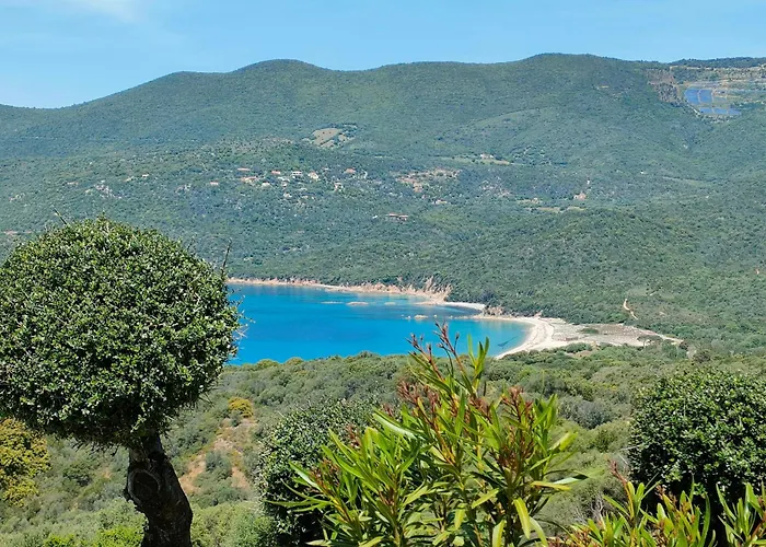 Vue Jardin Dans Calme Wifi Piscine A Pied * Serra-di-Ferro (Corsica)
